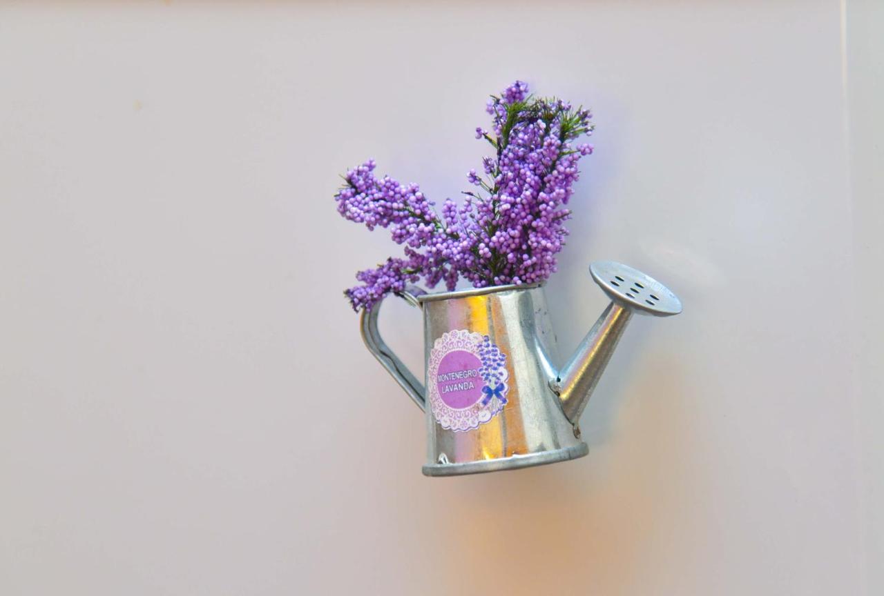 Apartment Golden Lavender Budva Bagian luar foto